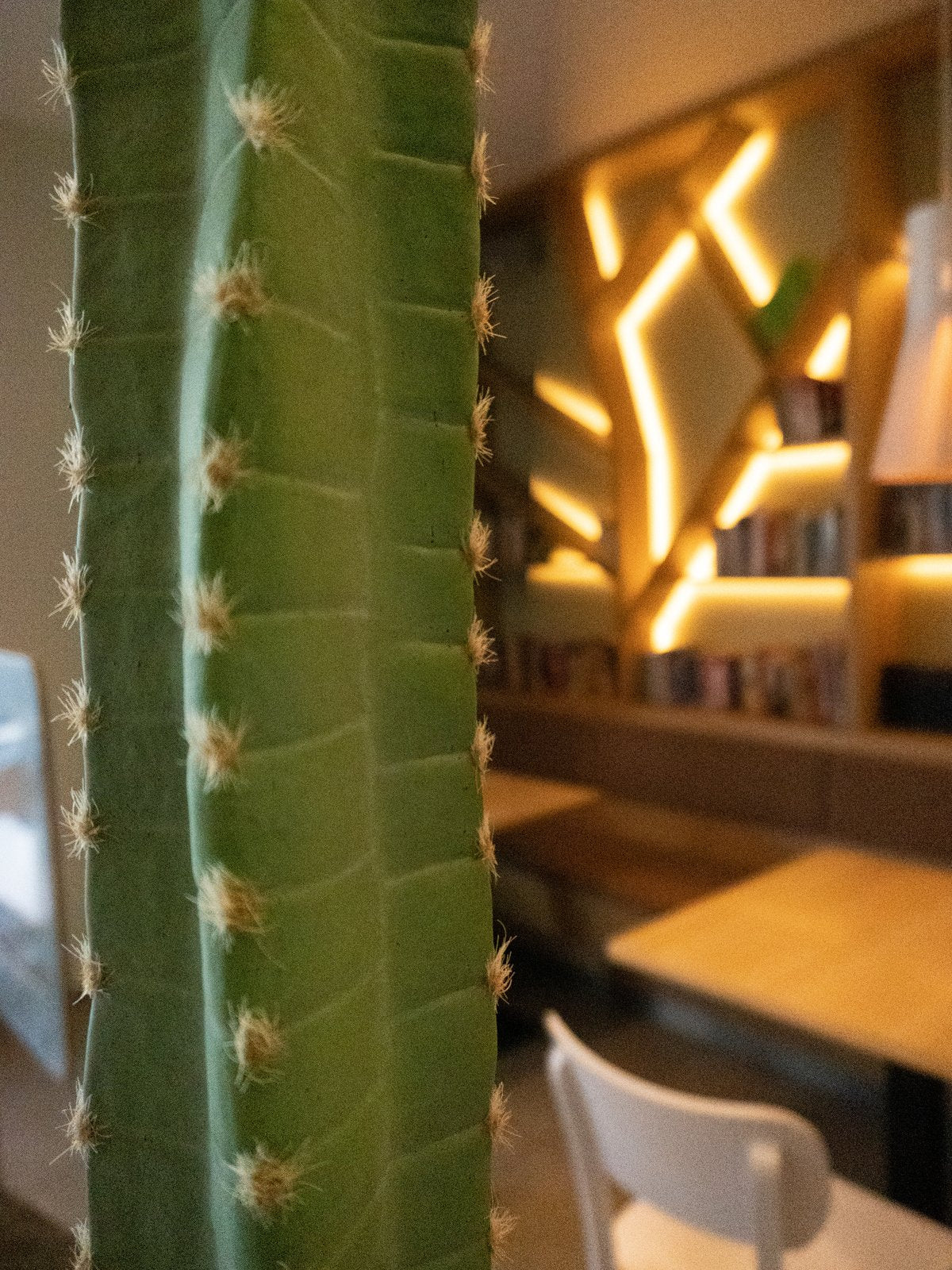 Mexican cactus, artificial plant, green, 97cm