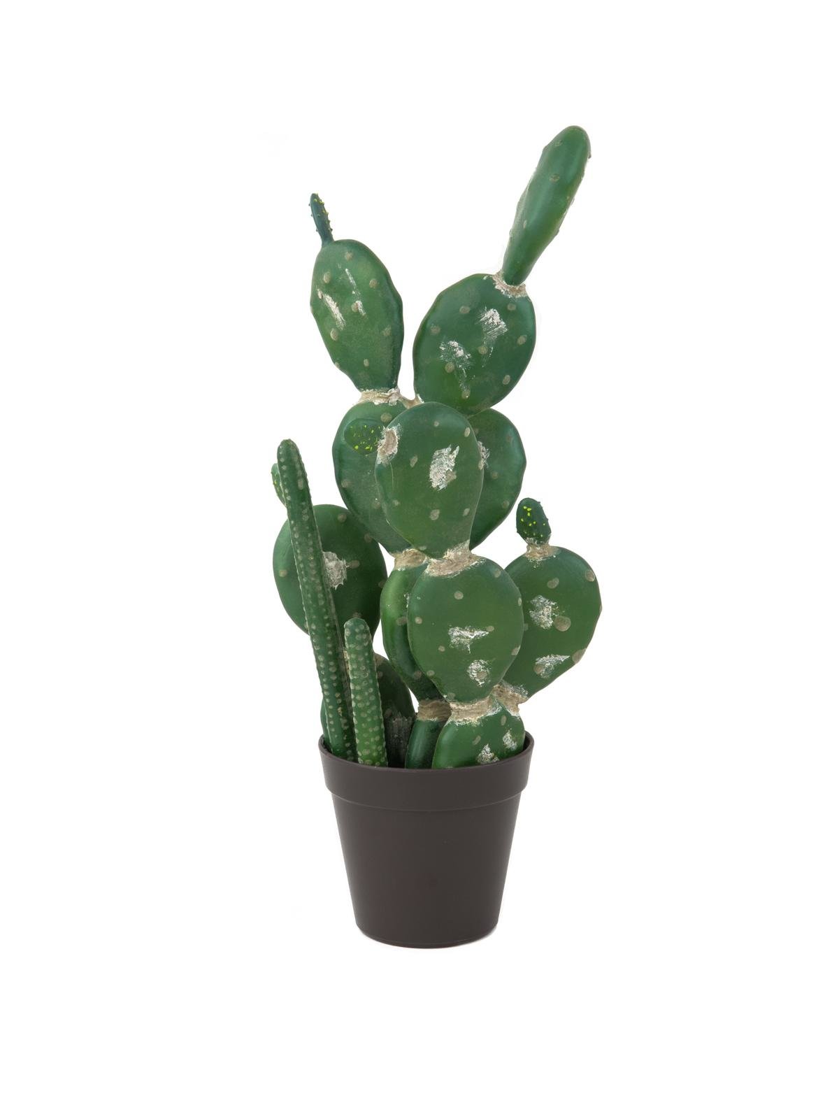 Mixed cacti, artificial plant, green, 54cm