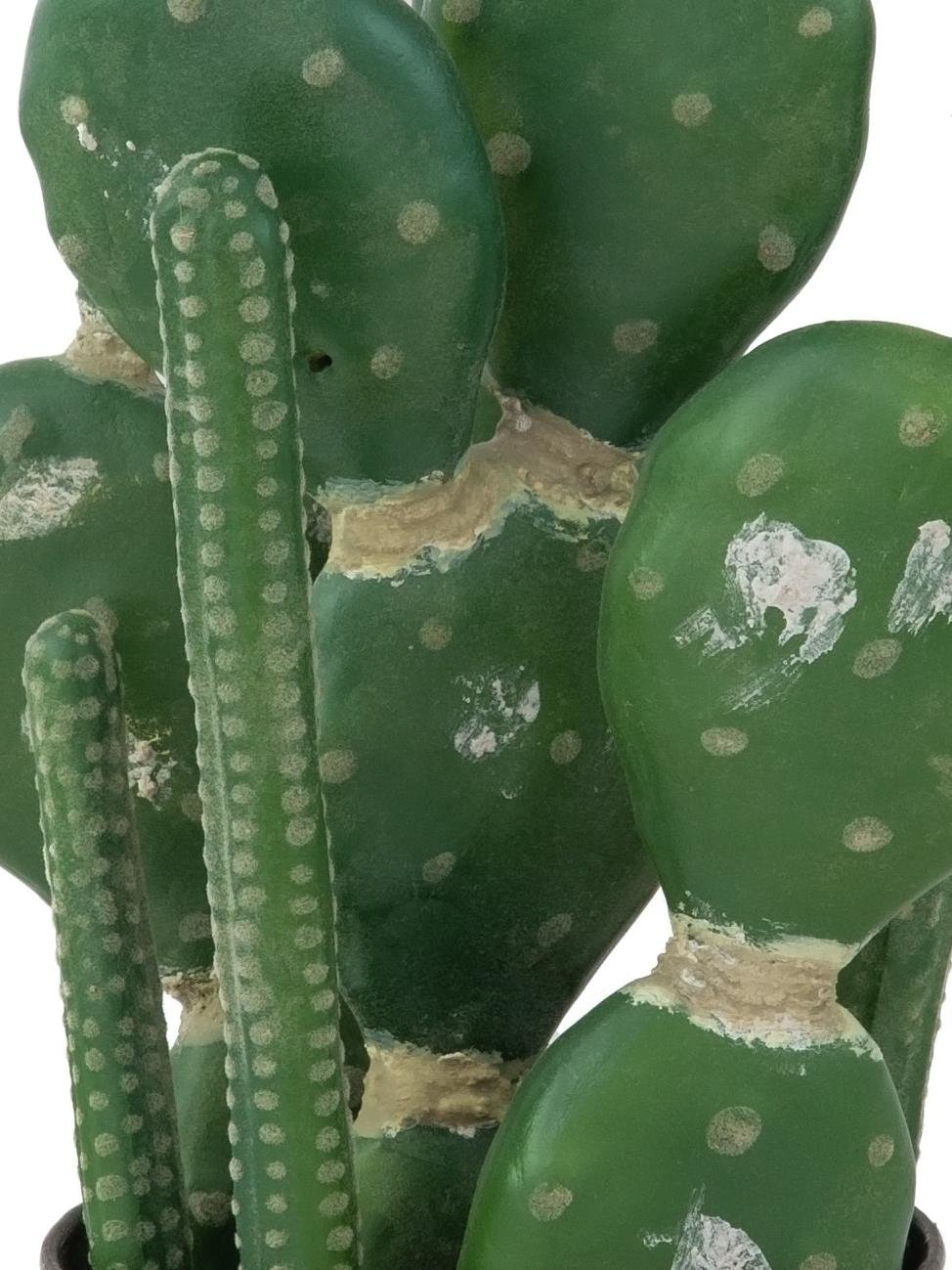 Mixed cacti, artificial plant, green, 54cm