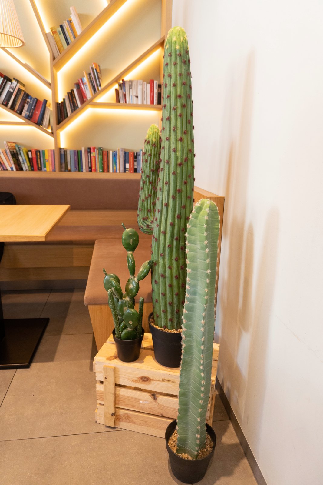 Mixed cacti, artificial plant, green, 54cm