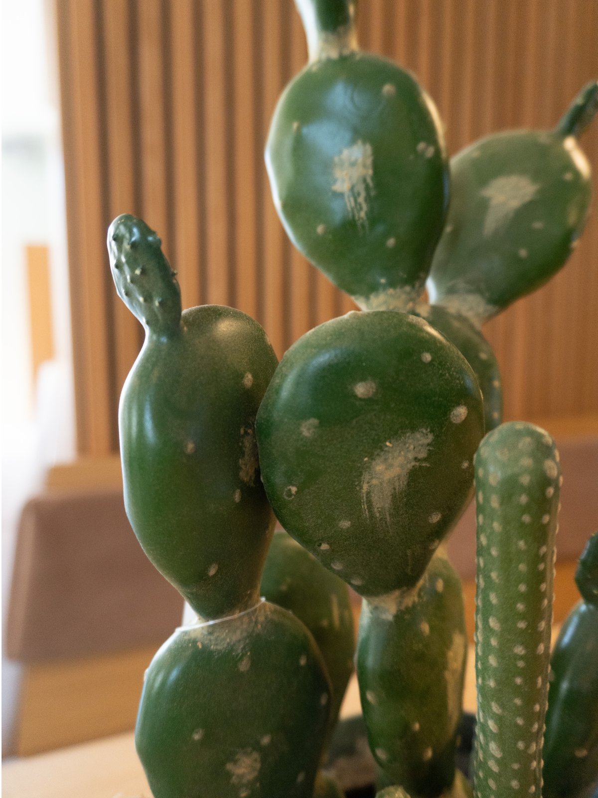 Mixed cacti, artificial plant, green, 54cm