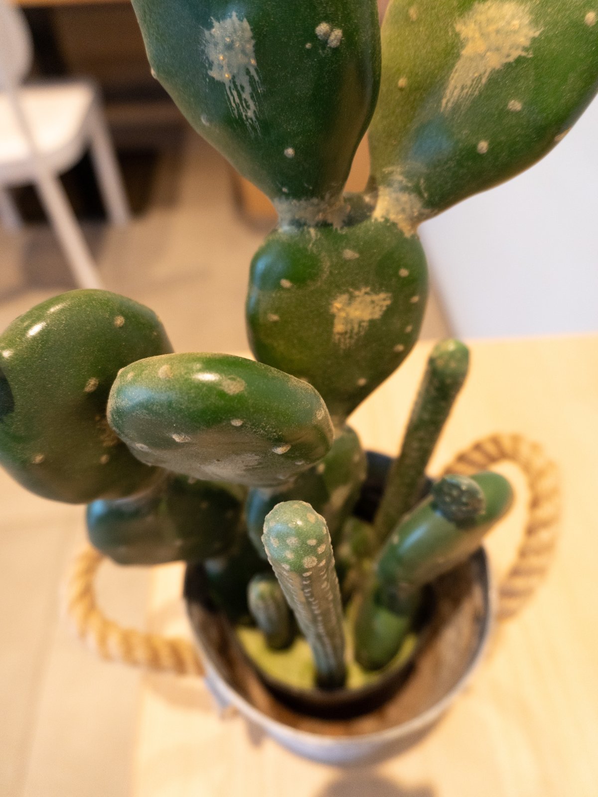 Mixed cacti, artificial plant, green, 54cm