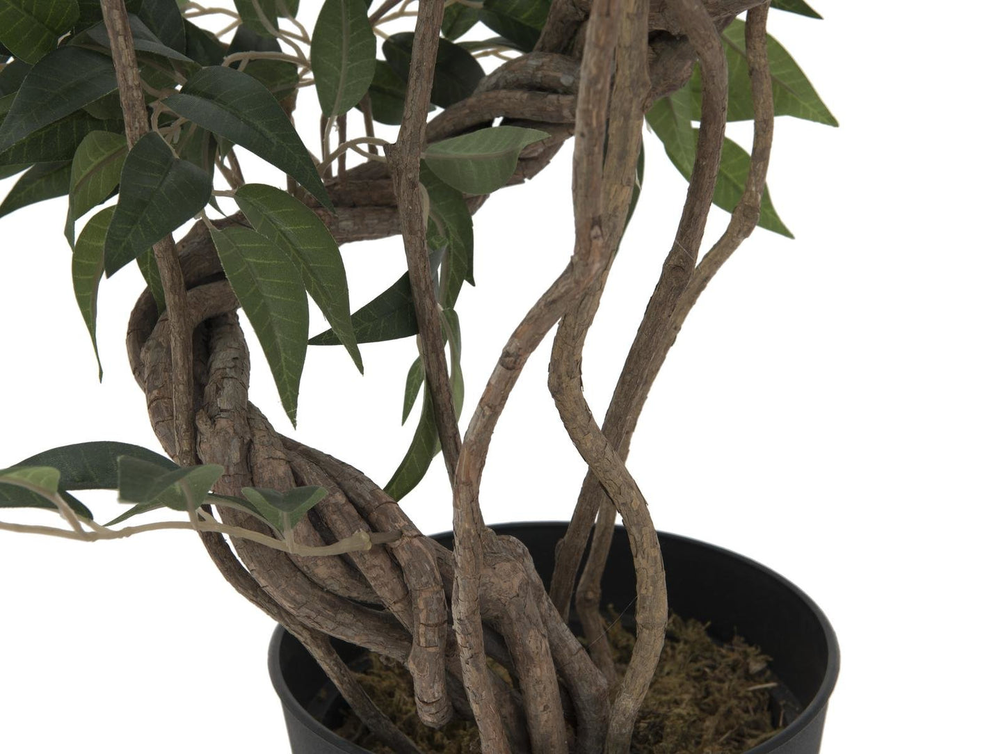 Ficus multiple spiral trunk, artificial plant, green, 130cm