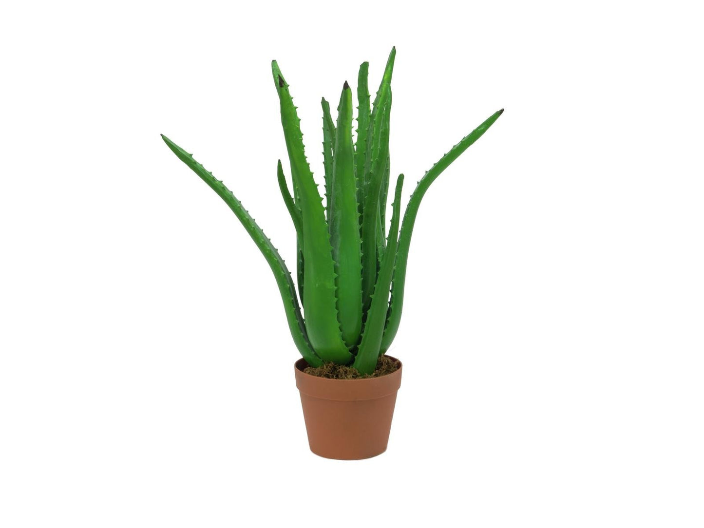 Aloe Vera Plant, artificial plant, 63cm