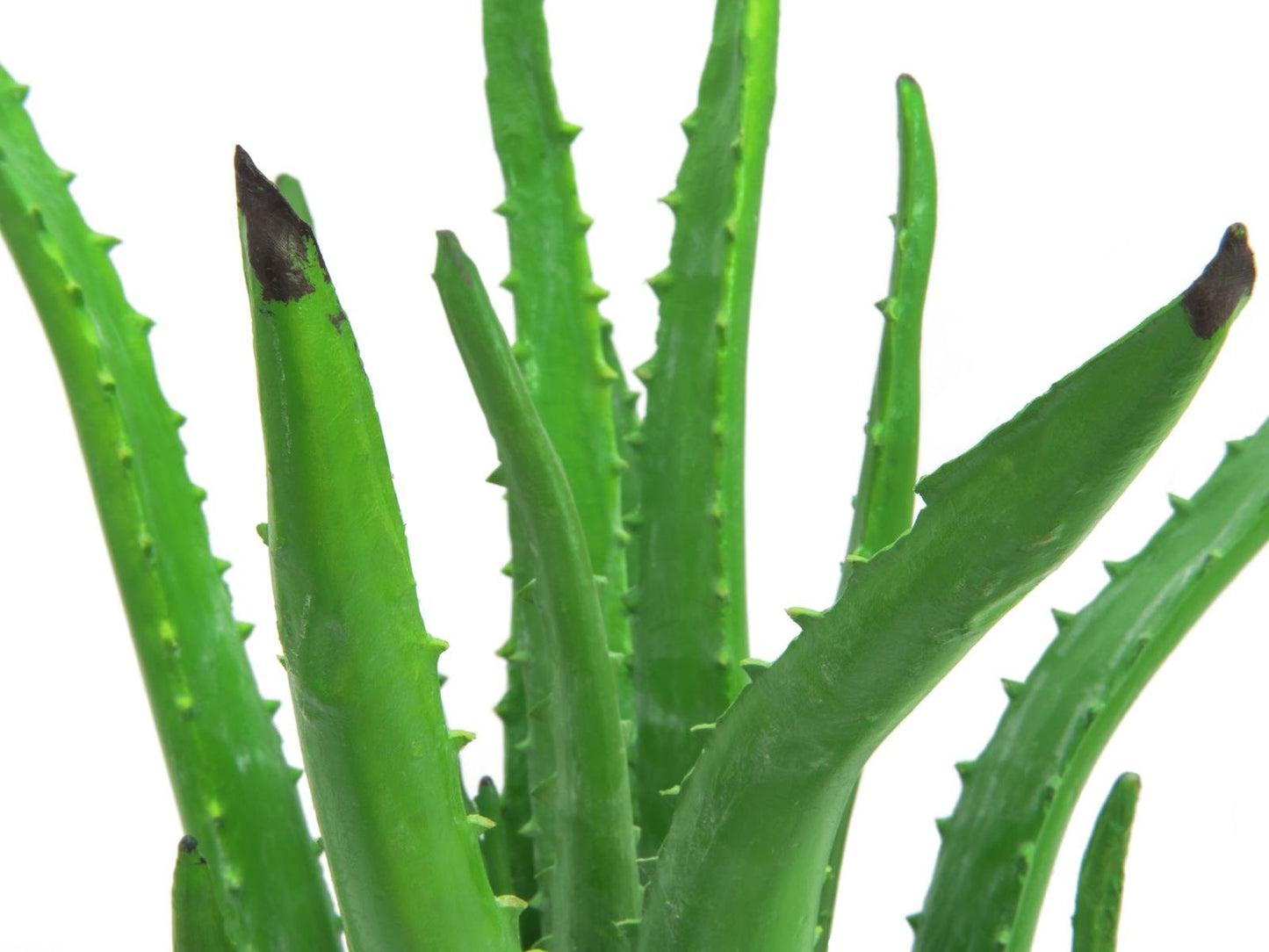 Aloe Vera Plant, artificial plant, 63cm