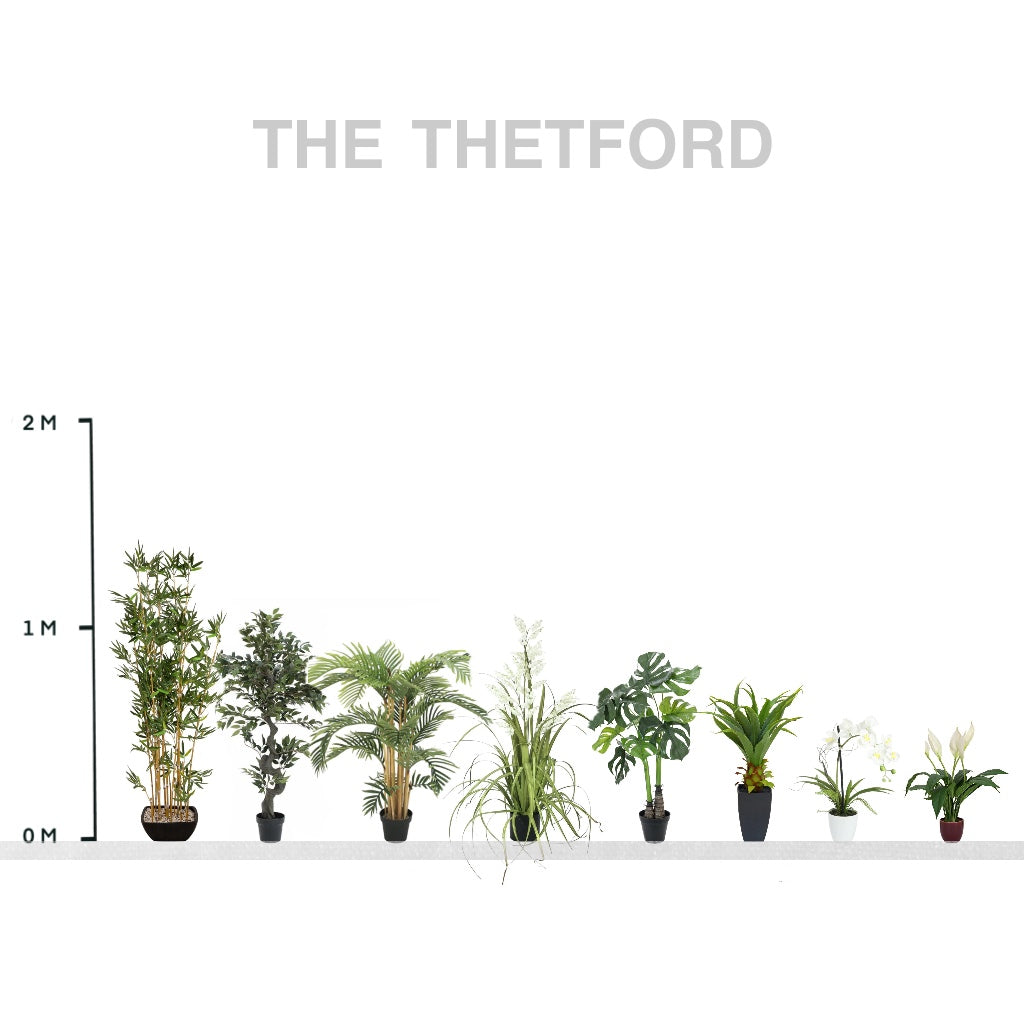 The Thetford Collection