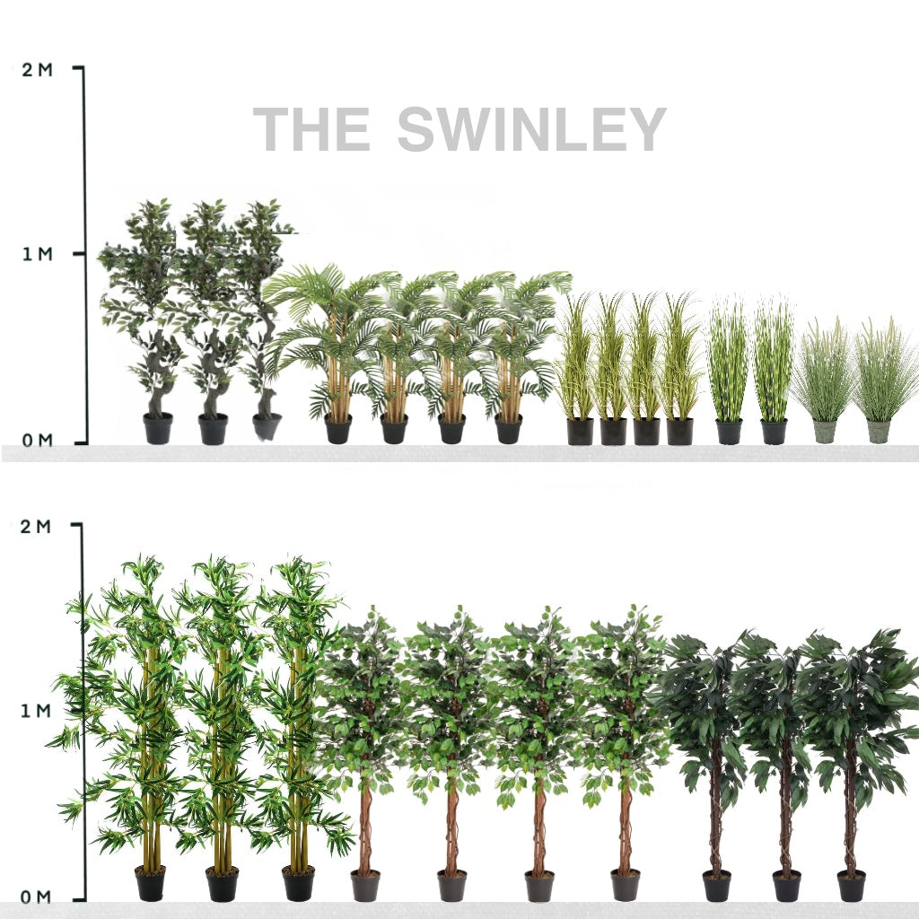 The Swinley Collection