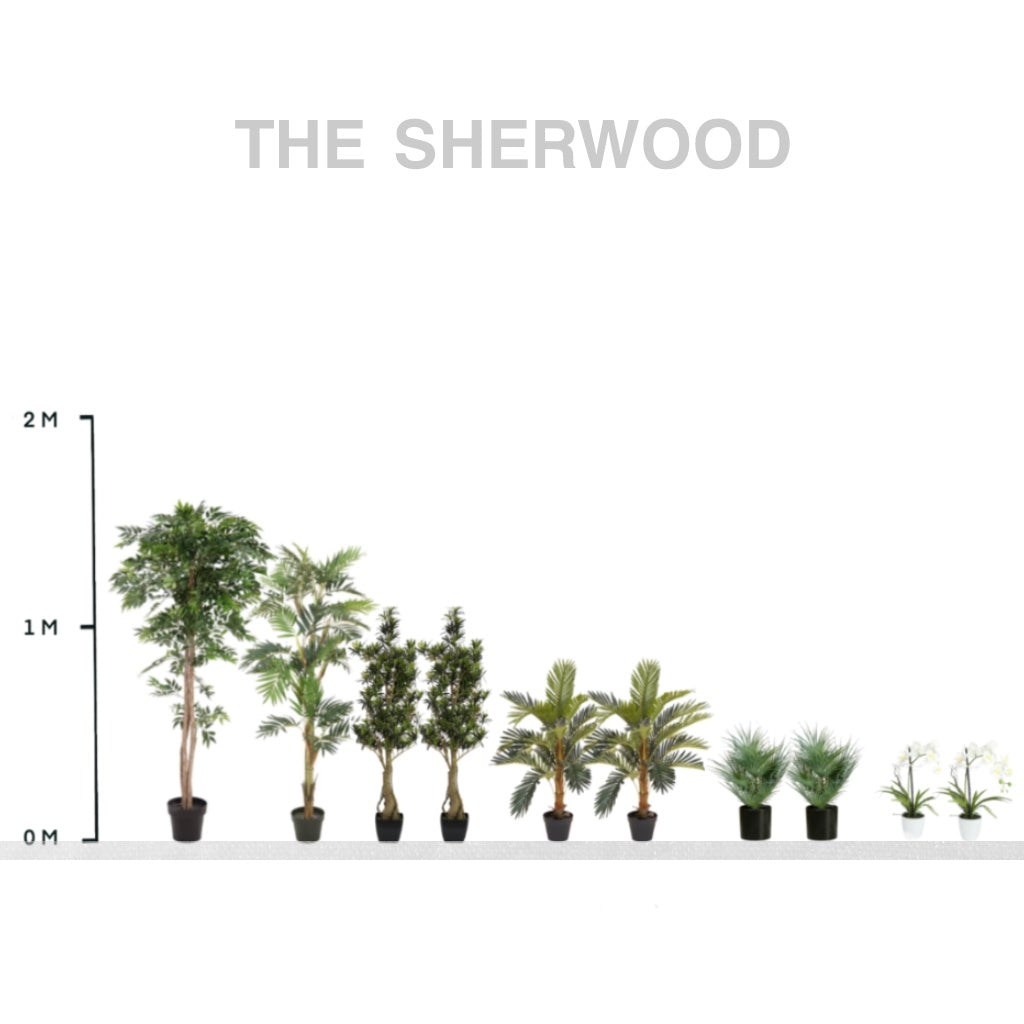 The Sherwood Collection