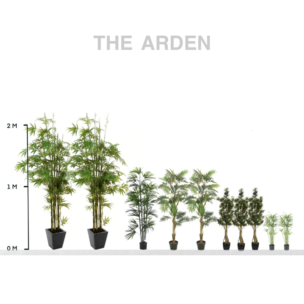 The Arden Collection