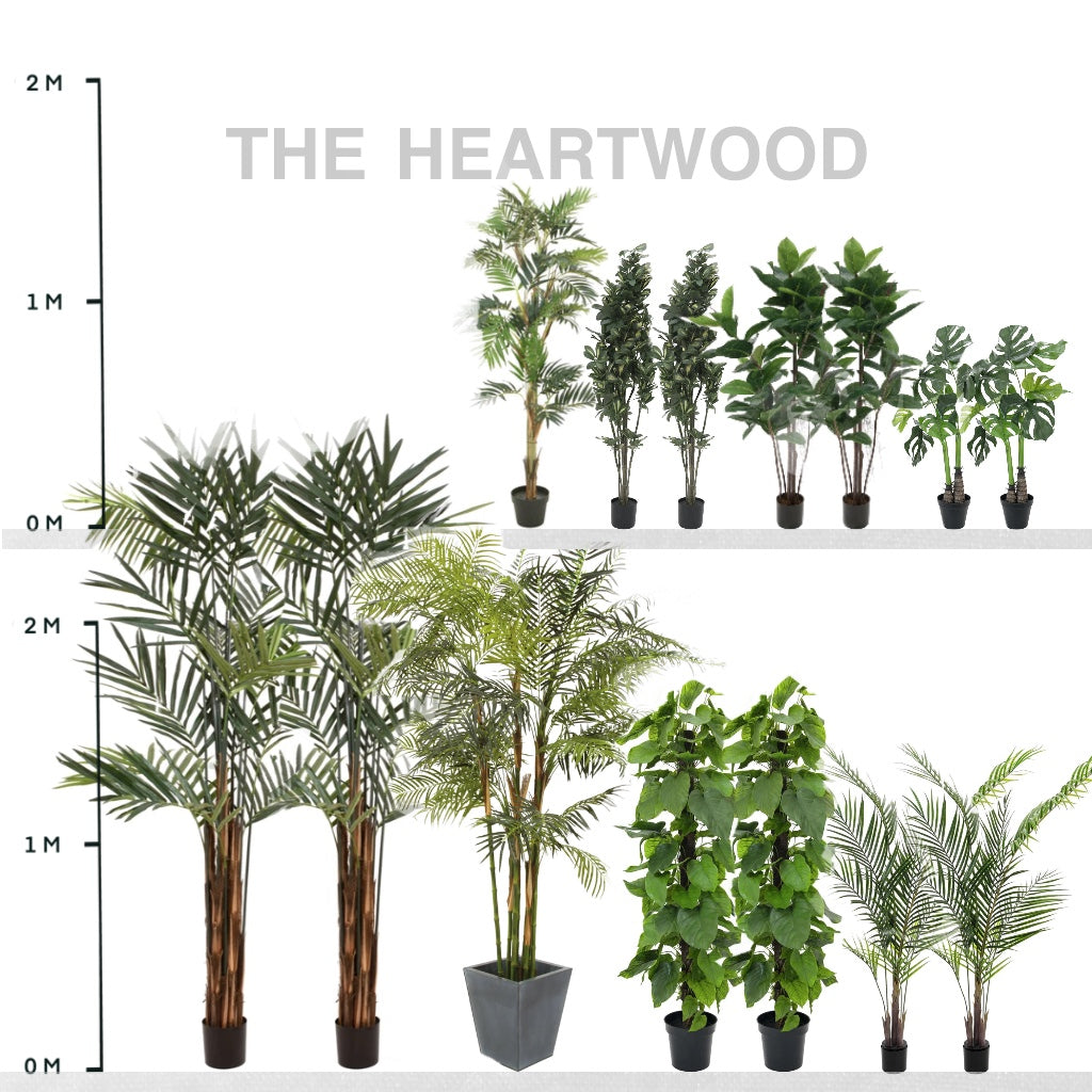 The Heartwood Collection