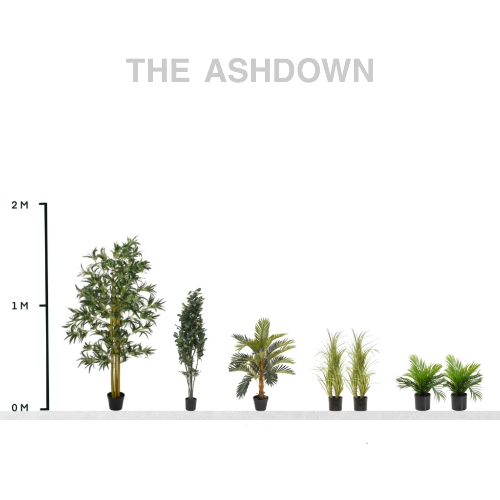 The Ashdown Collection