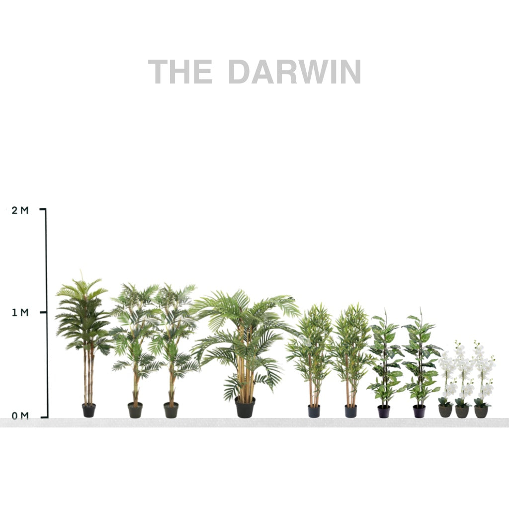 The Darwin Collection